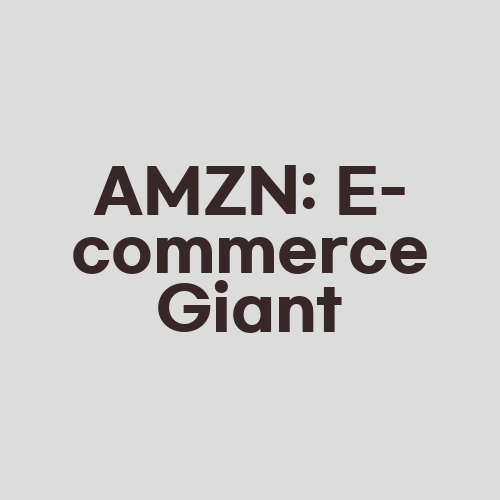 AMZN: E-commerce Giant