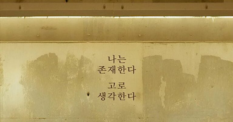 영화 관념의 남자 김철수 정보 출연진 평점 줄거리 및 감상 가이드